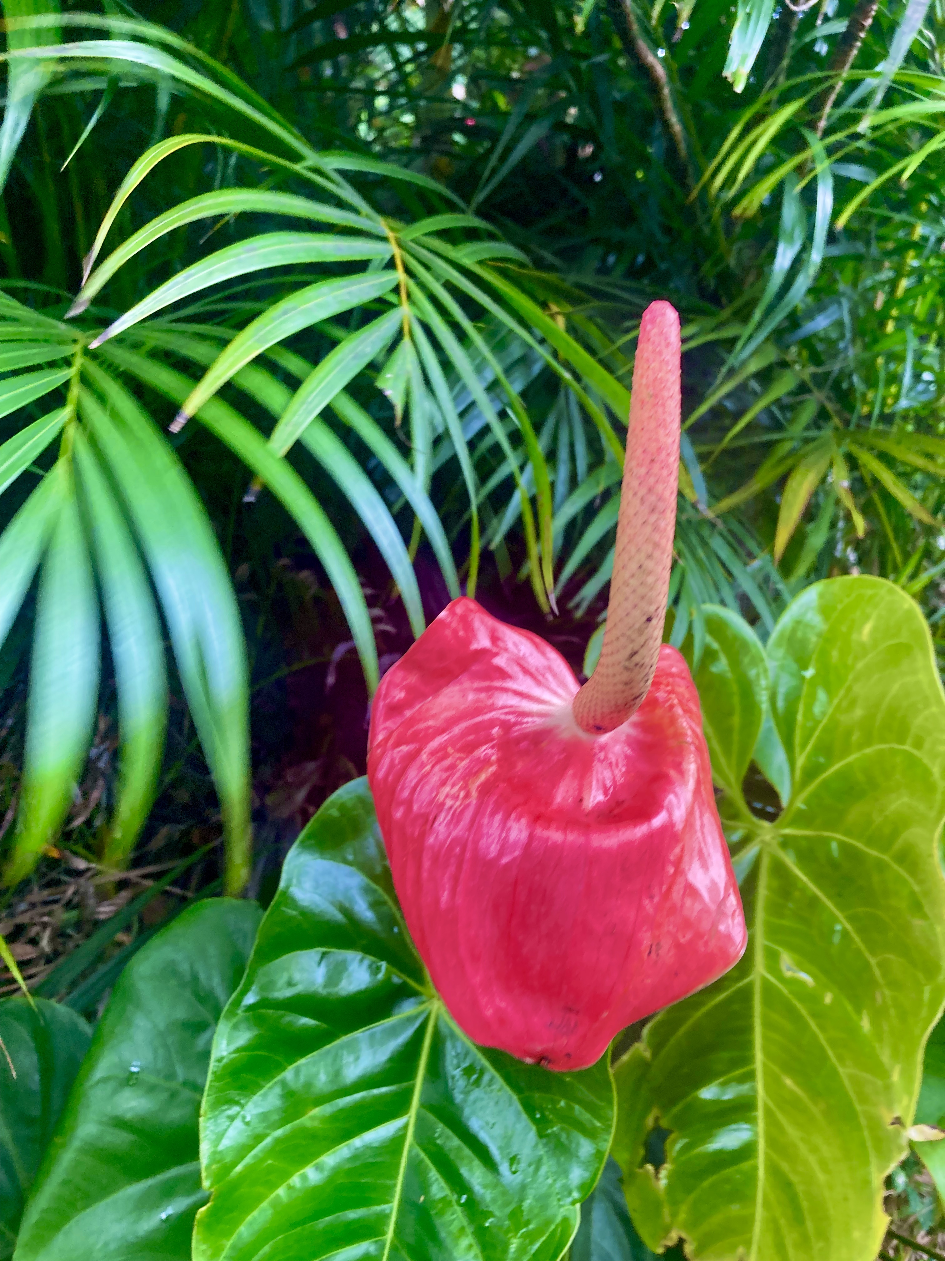 ecoQueer